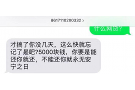 衡东企业清欠服务